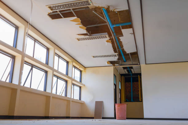 Best Carpet water damage restoration  in Columbus Af, MS