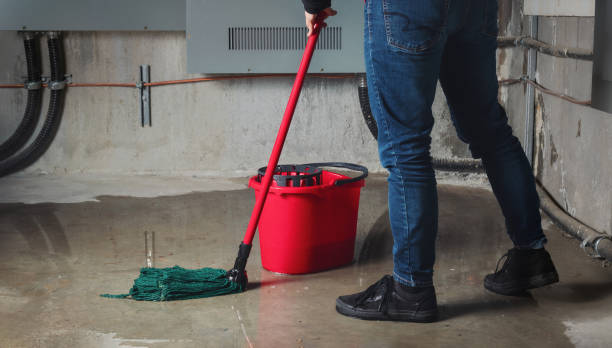 Best Water damage restoration near me  in Columbus Af, MS