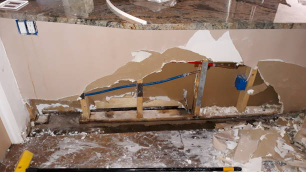 Best Carpet water damage restoration  in Columbus Af, MS