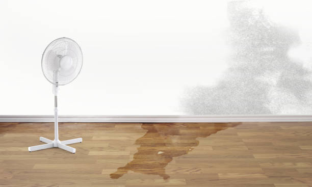 Fire Damage Restoration in Columbus Af, MS