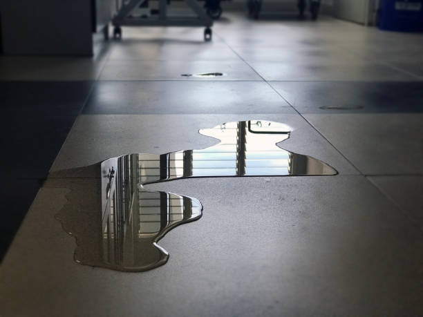 Best Water damage cleanup near me  in Columbus Af, MS