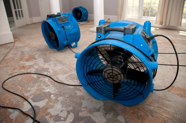 Professional Water damage restoration in Columbus Af, MS