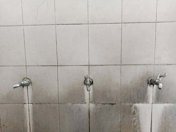 Best Emergency water damage restoration  in Columbus Af, MS