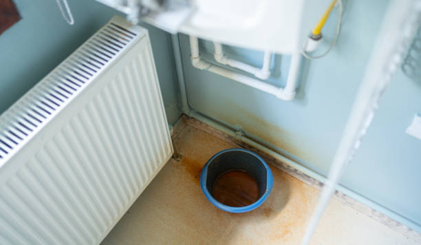 Best Water damage contractors near me  in Columbus Af, MS