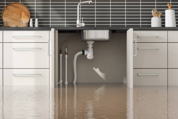 Best Carpet water damage restoration  in Columbus Af, MS